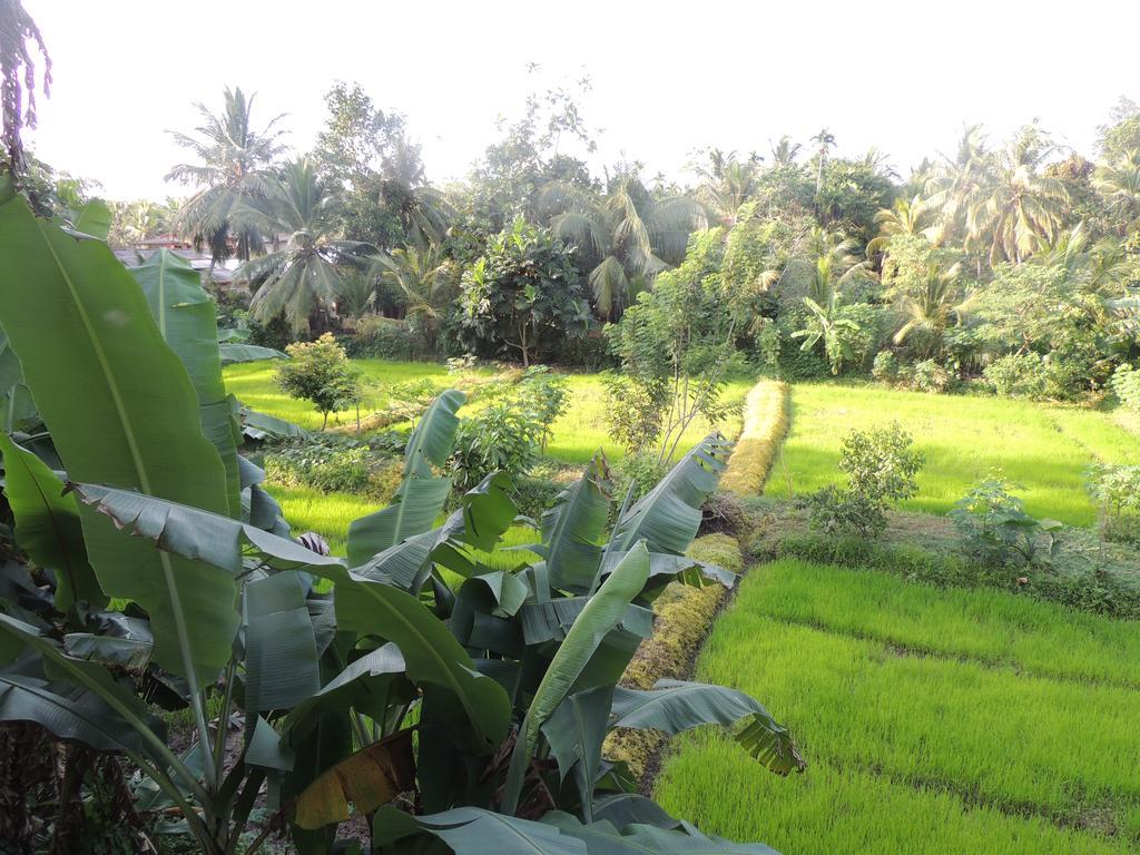 Arana Bungalow كالي المظهر الخارجي الصورة