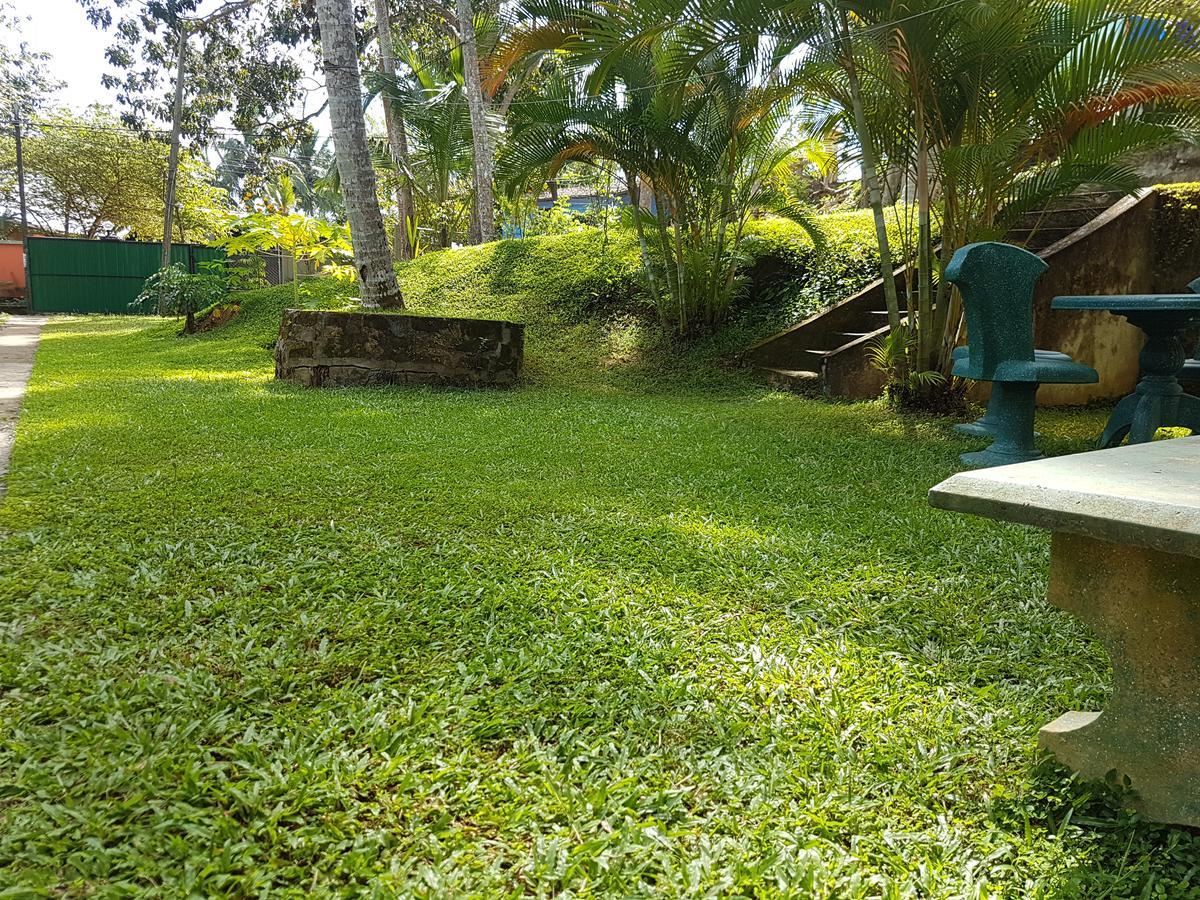 Arana Bungalow كالي المظهر الخارجي الصورة